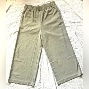 H&M Womens Beige Wide-Leg Pull-On Elastic Waistland Pants Size 2